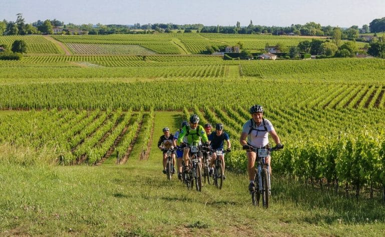 Vignobles_bordelais vignobles bordelais