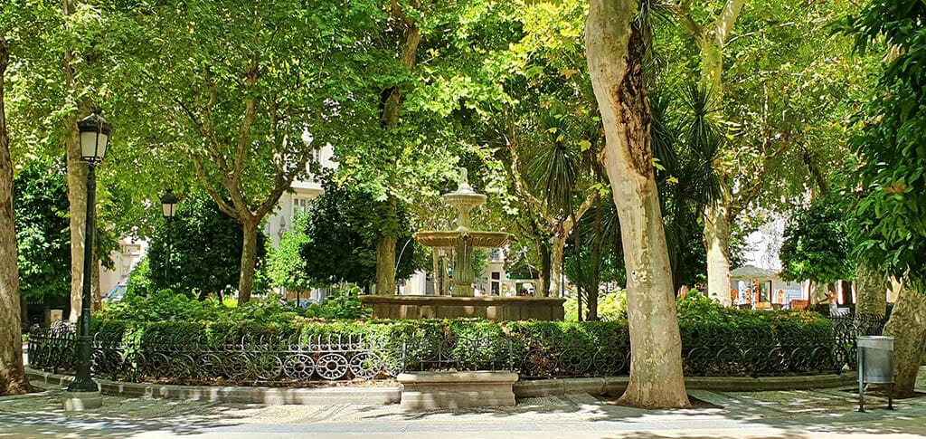 Plaza_de_la_Trinidad_Granada plaza de la trinidad granada
