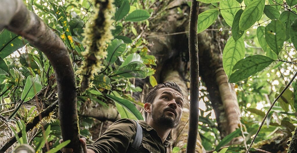 alex vizeo jungle ecuador