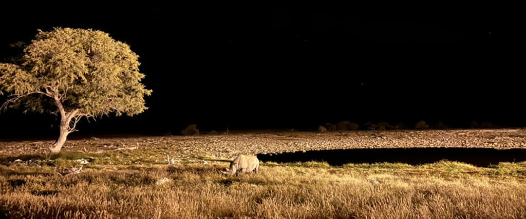 Jour 3 4 visiter la namibie