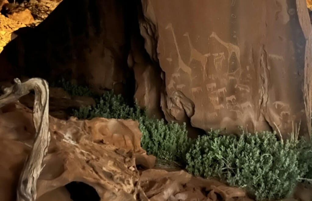 jour 8 Twyfelfontein visiter la namibie