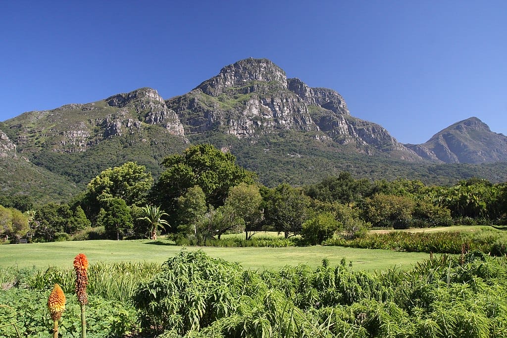 jardin botanique Kirstenbosch que faire afrique du sud