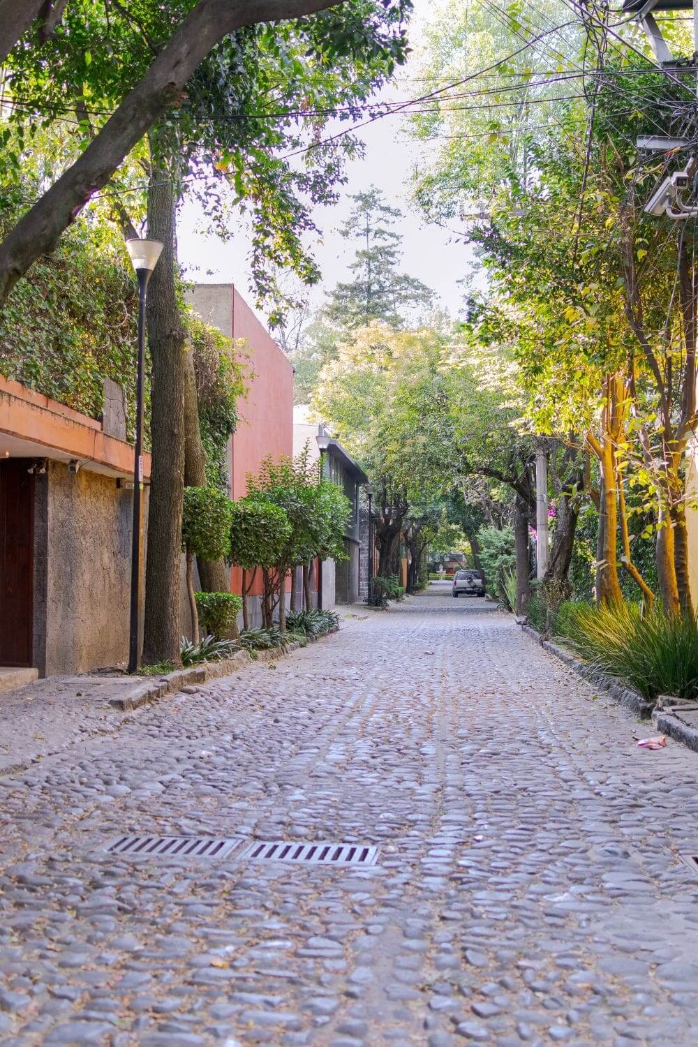 Les quartiers de San Ángel et Chimalistac Mexico City Visiter