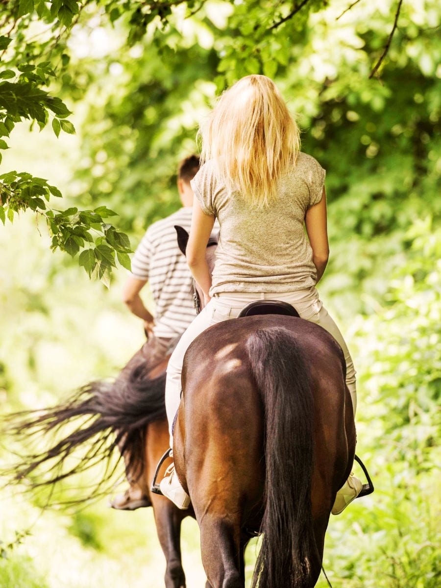 Randonnée à cheval jusqu’aux sources chaudes