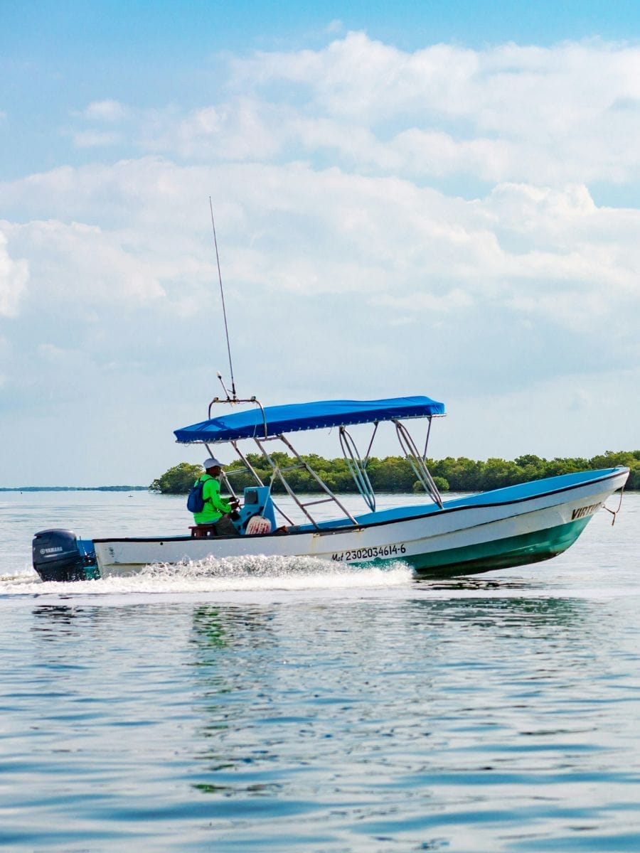 Plongée sous-marine près de Cancun