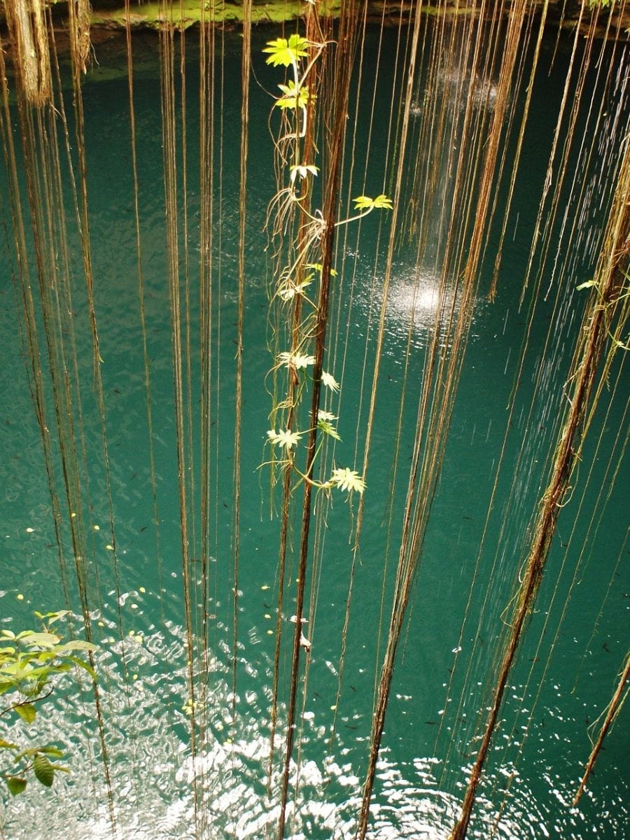 X’Batun & Dzonbacal (San Antonio de Mulix)