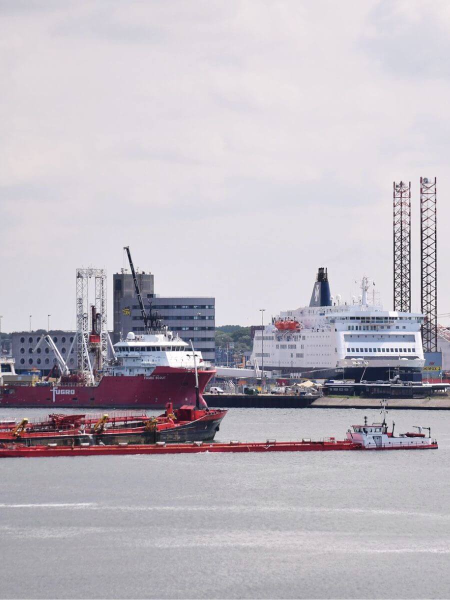 IJmuiden : le choc des mondes entre industrie et nature